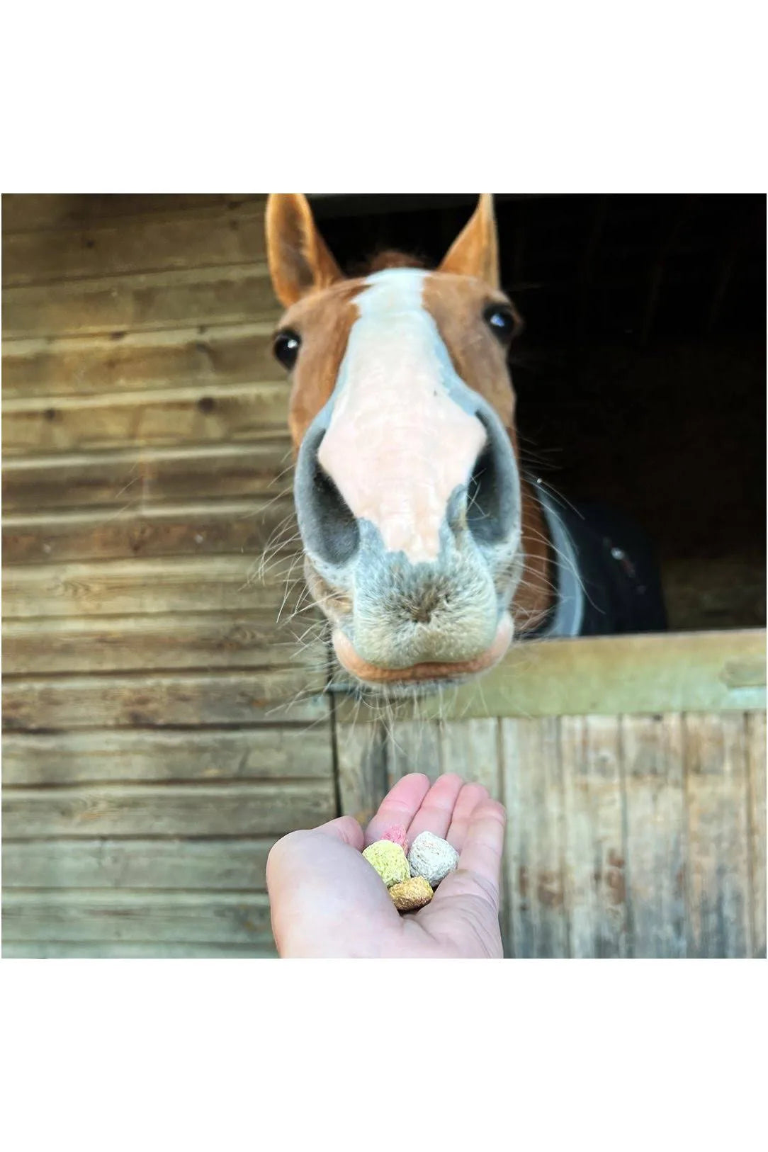 Equilibrium Crunchits