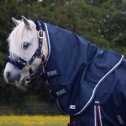 Gallop Ponie No Fill Duraproof 5-Point Neck Cover