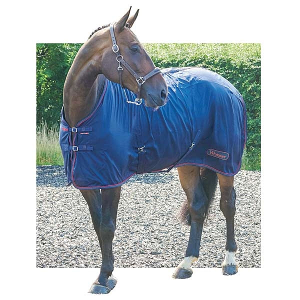 Whitaker Rastrick Multipurpose Rugs
