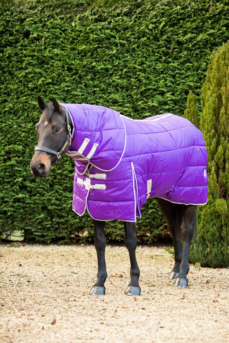 200g Stable Rug With Detachable Neck - Purple