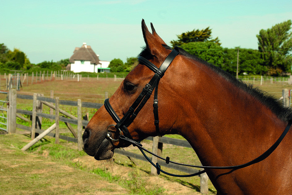 Heritage English Leather Cavesson Bridle - Top Of The Clops