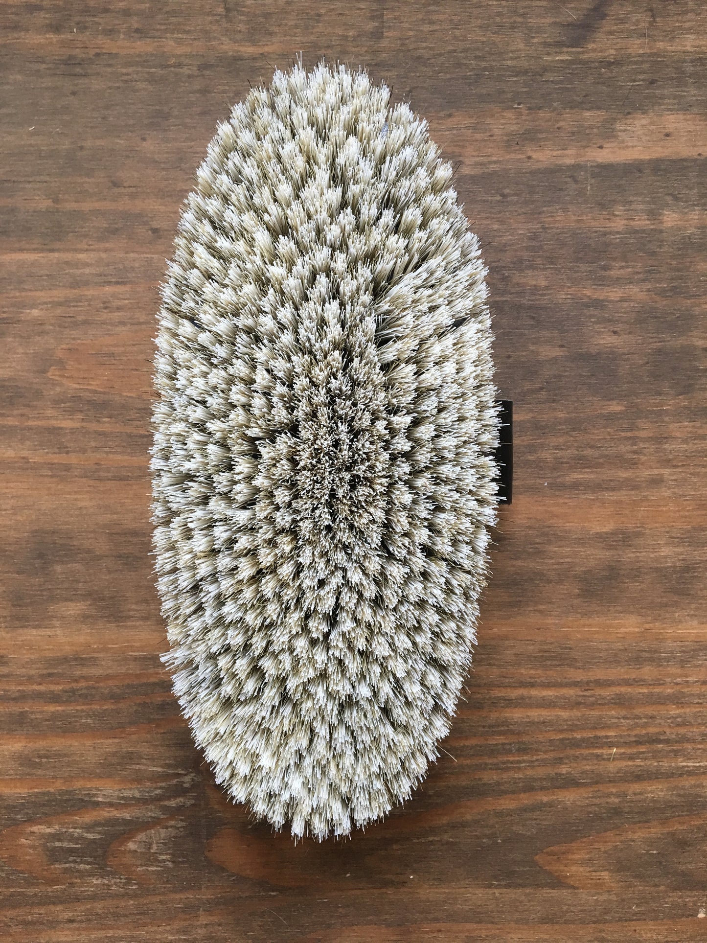 Haas Soft Coat Fellglanz Brush - Top Of The Clops