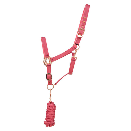 Hy Rose Gold Headcollar and Lead Rope - Top Of The Clops