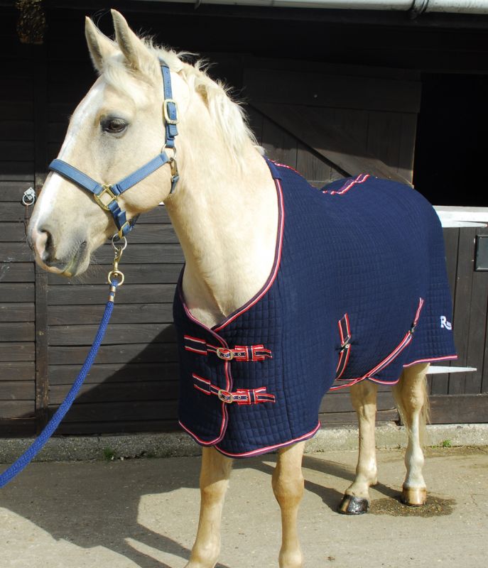 Rhinegold Premium Celltex Fleece Rug - Top Of The Clops