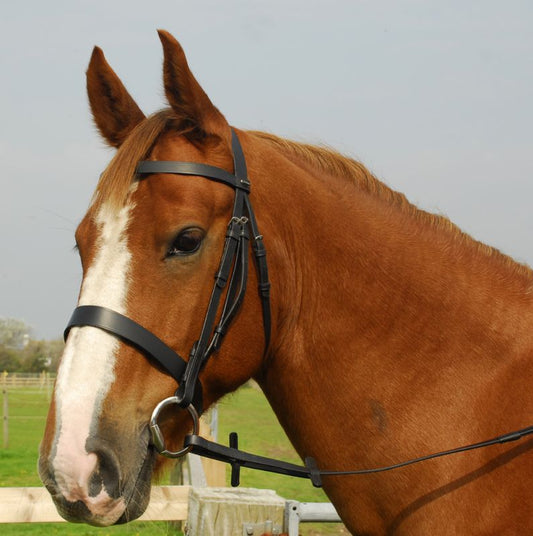 Heritage English Leather Hunter Bridle - Top Of The Clops