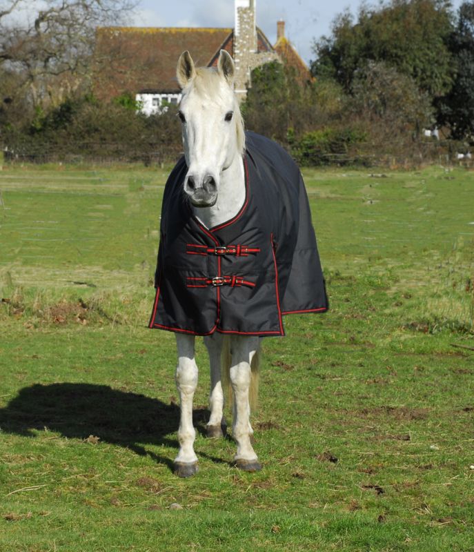 Rhinegold Thor Heavy Weight Standard Neck 350G Turnout - Top Of The Clops
