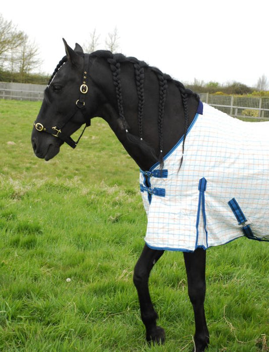 Rhinegold Maui Check Sumer Sheet - Top Of The Clops