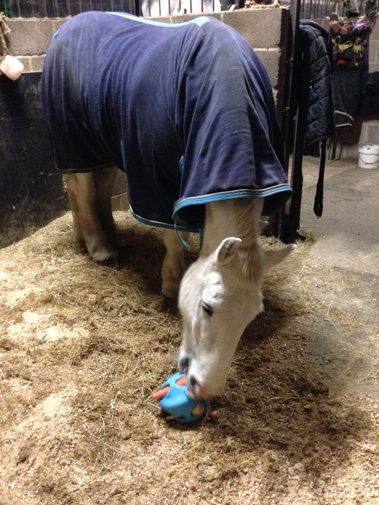 CarrotBall - Top Of The Clops