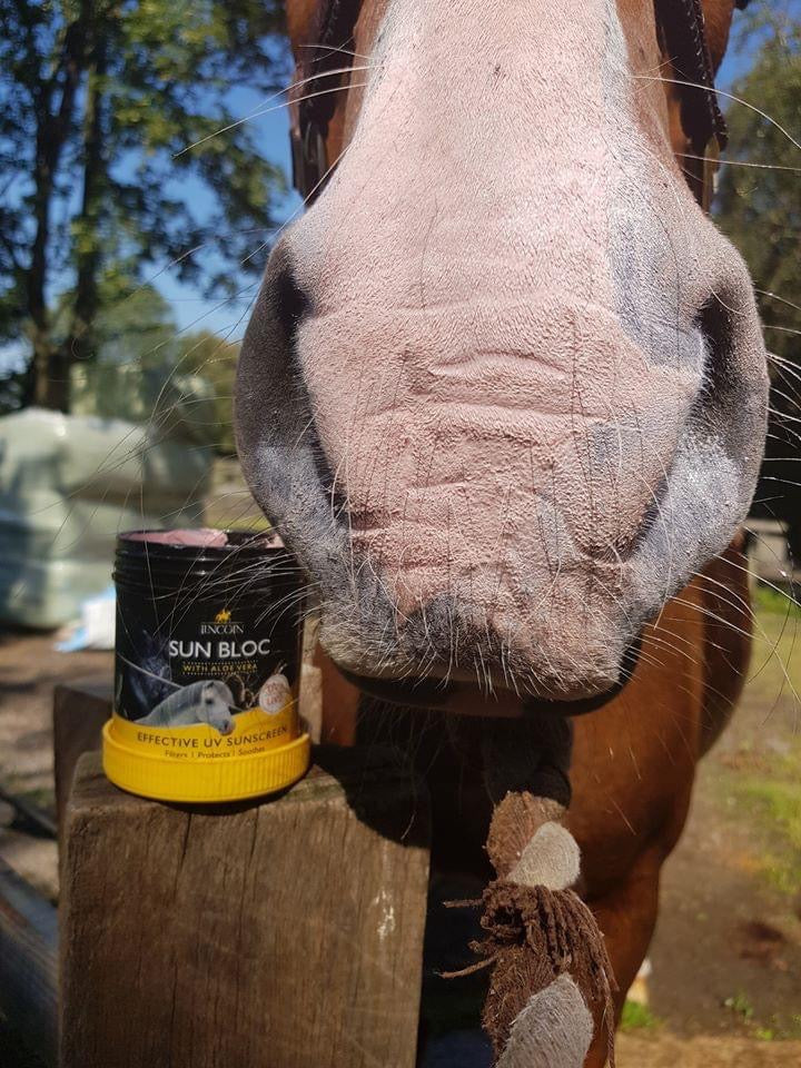 Lincoln Sun Bloc - Top Of The Clops