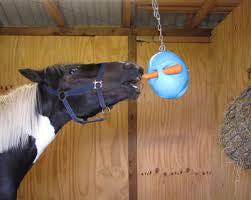 Carrot ball horse toy hotsell