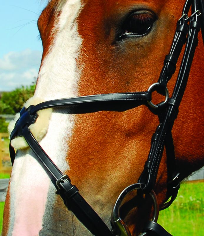 Heritage English Leather Mexican Bridle - Top Of The Clops