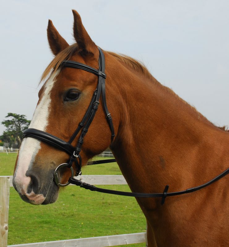 Heritage English Leather Comfort Cavesson Bridle - Top Of The Clops