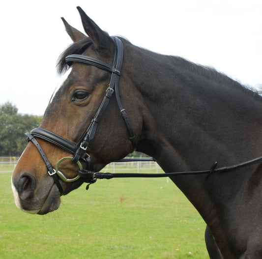 Heritage English Leather Comfort Flash Bridle - Top Of The Clops