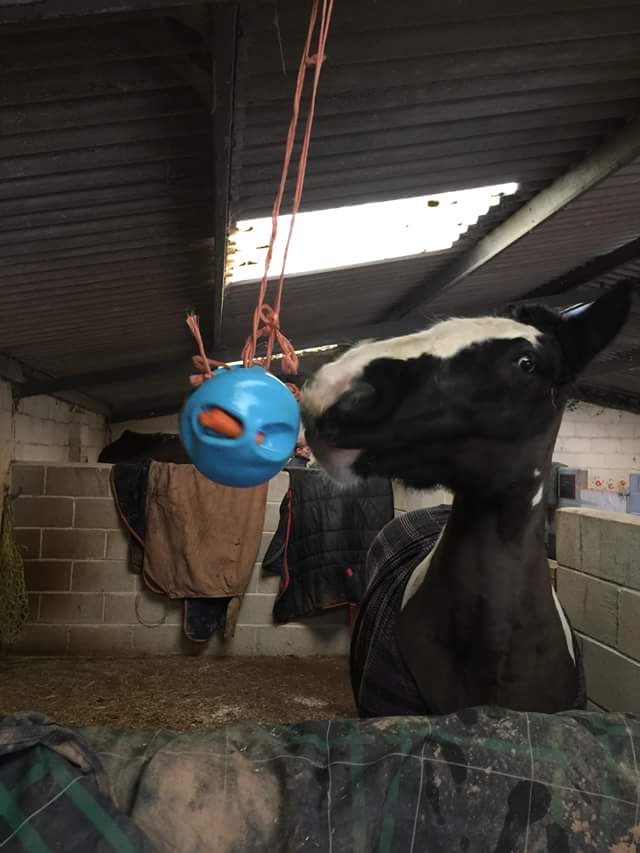 CarrotBall - Top Of The Clops