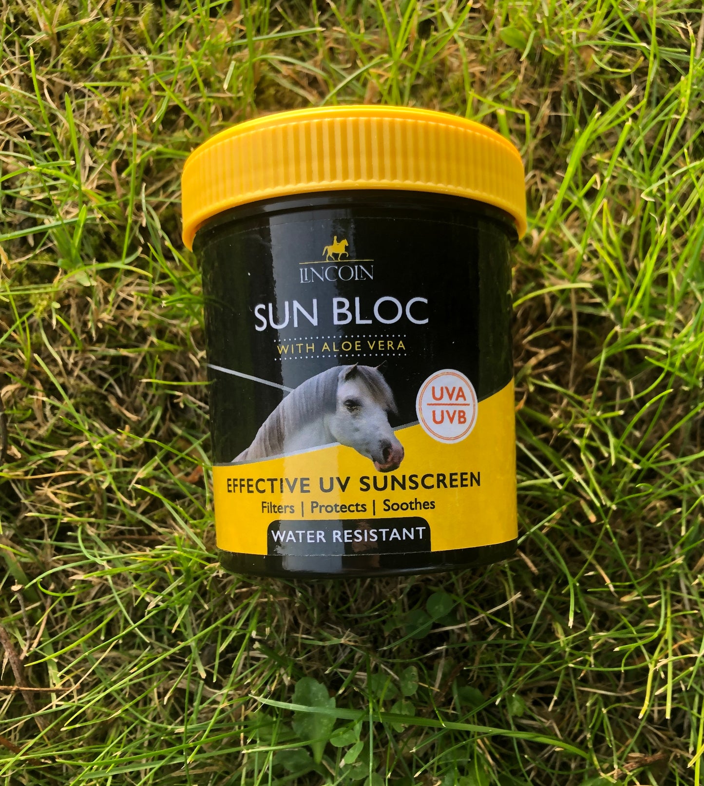 Lincoln Sun Bloc - Top Of The Clops