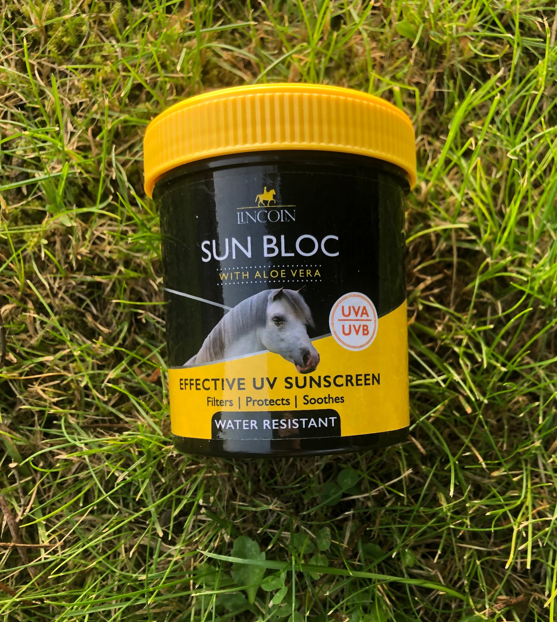 Lincoln Sun Bloc - Top Of The Clops