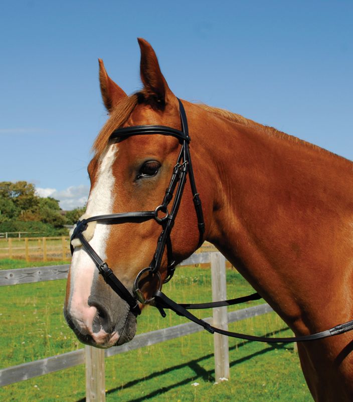 Heritage English Leather Mexican Bridle - Top Of The Clops