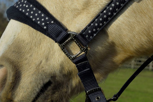 Rhinegold Star Spangled Headcollar & Rope Set - Top Of The Clops