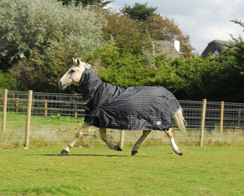 Rhinegold Montpelier Combo 100g Turnout - Top Of The Clops