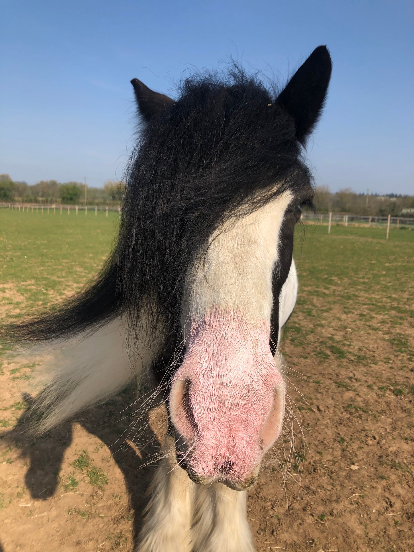 Lincoln Sun Bloc - Top Of The Clops