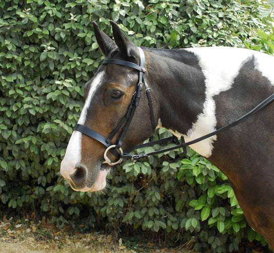Windsor Leather Hunter Bridle - Top Of The Clops