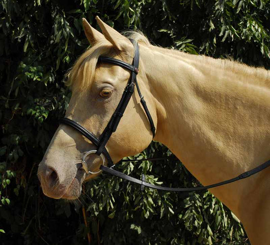 Windsor Leather Bridle With Plain Cavesson Noseband - Top Of The Clops