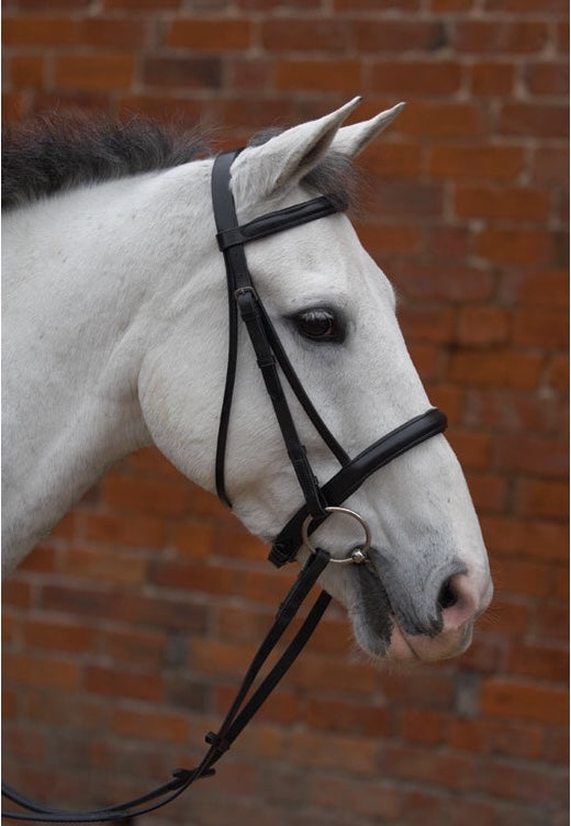 Hy Padded Cavesson Bridle with Rubber Grip Reins - Top Of The Clops