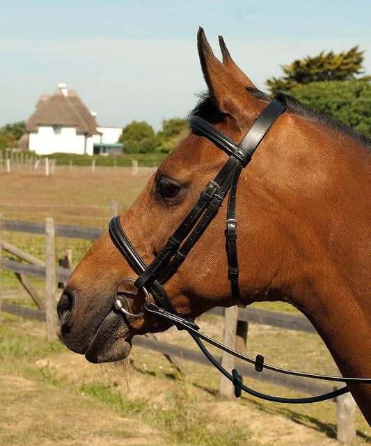 Heritage English Leather Cavesson Bridle - Top Of The Clops