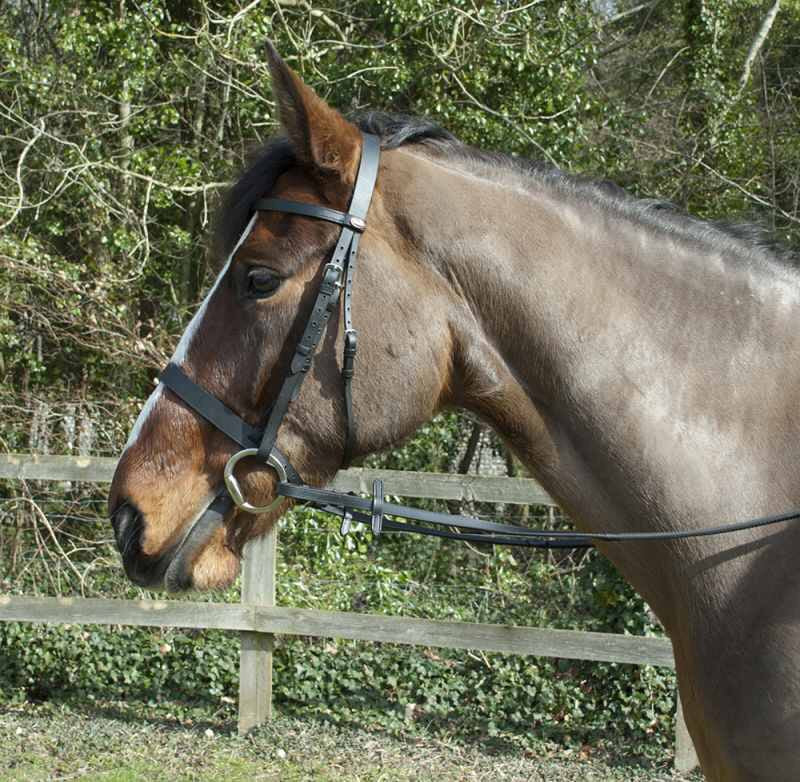 Windsor Leather Hunter Bridle - Top Of The Clops