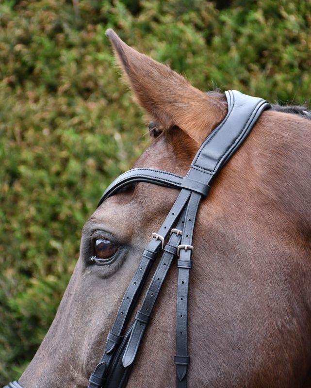 Rhinegold Softee Padded Leather Pro-Anatomical Flash Bridle - Top Of The Clops