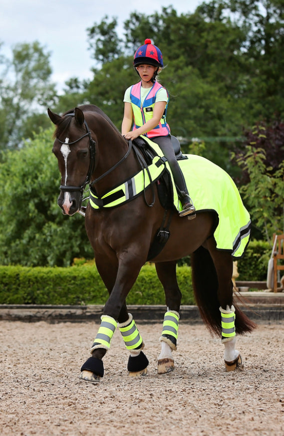 Equisafety Wraparound Exercise Sheet - Top Of The Clops