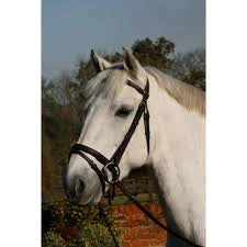 JHL Flash Bridle - Top Of The Clops