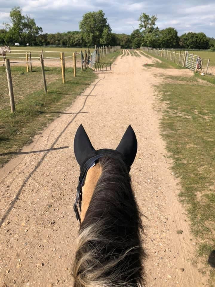 Woof Wear Noise Cancelling Fly Veil - Top Of The Clops