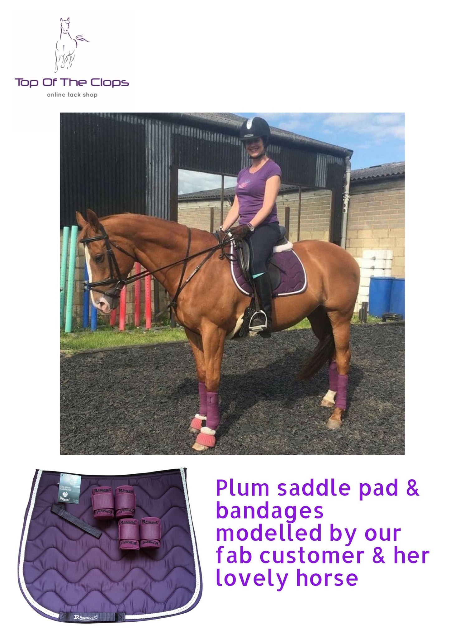 Rhinegold Wave Elasticated Training Bandages - Top Of The Clops