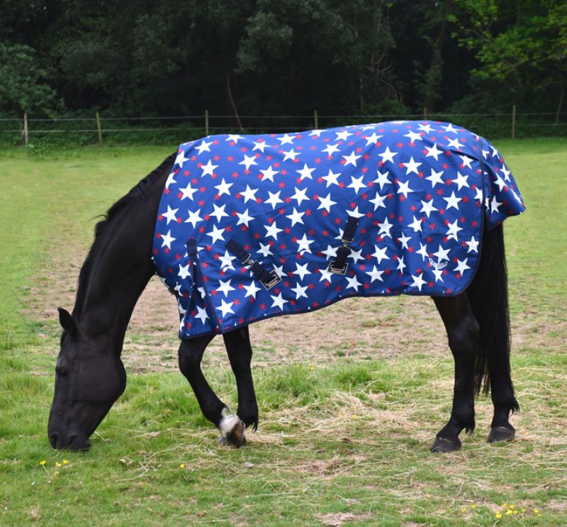 Rhinegold Star Torrent No Fill Turnout Rug - Top Of The Clops