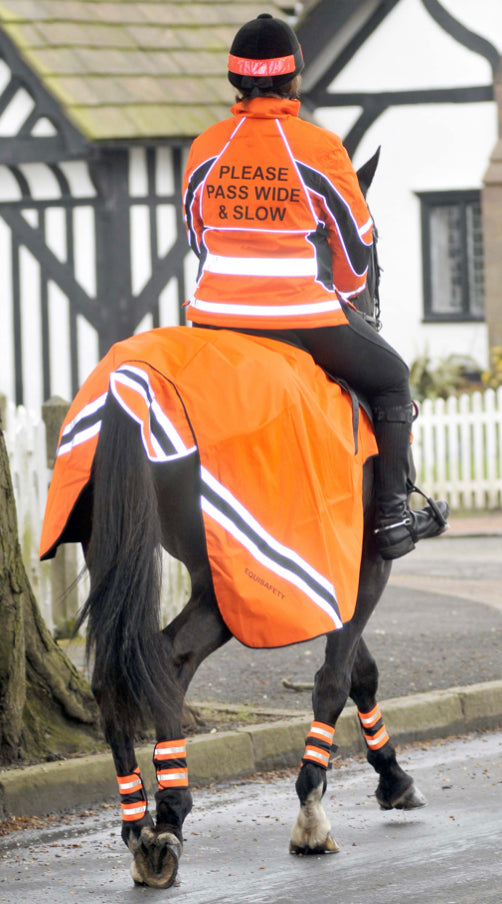 Equisafety Wraparound Exercise Sheet - Top Of The Clops