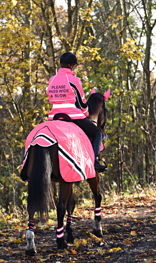 Equisafety Wraparound Exercise Sheet - Top Of The Clops