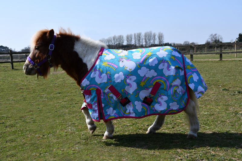 Rhinegold Unicorn Mini Torrent Outdoor Rug - Top Of The Clops