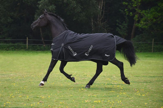 Rhinegold Torrent No Fill Turnout Rug - Top Of The Clops