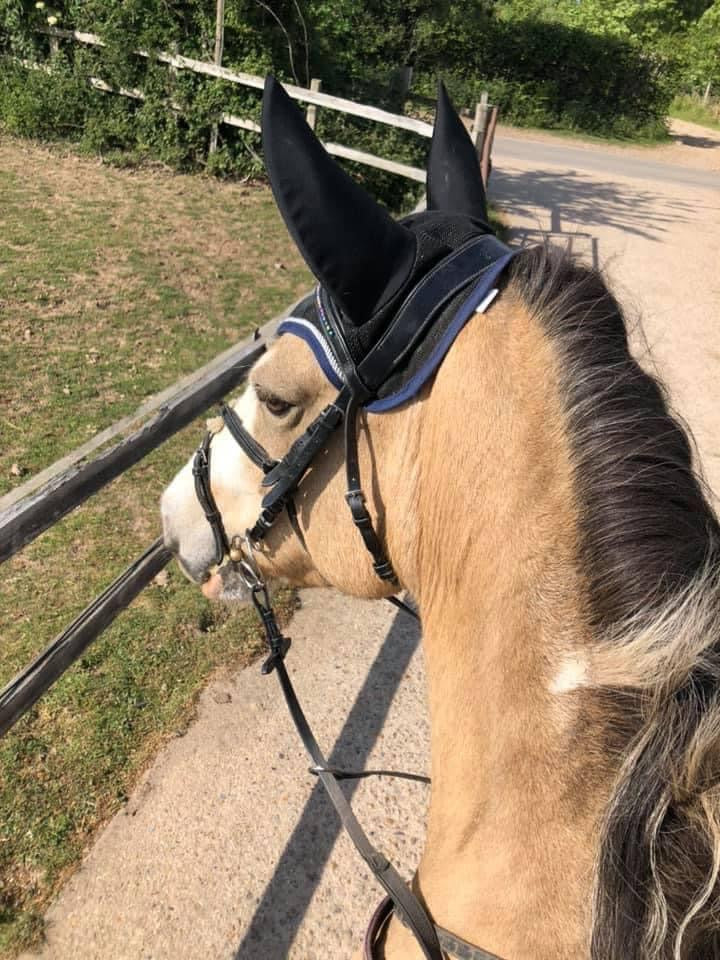 Woof Wear Noise Cancelling Fly Veil - Top Of The Clops