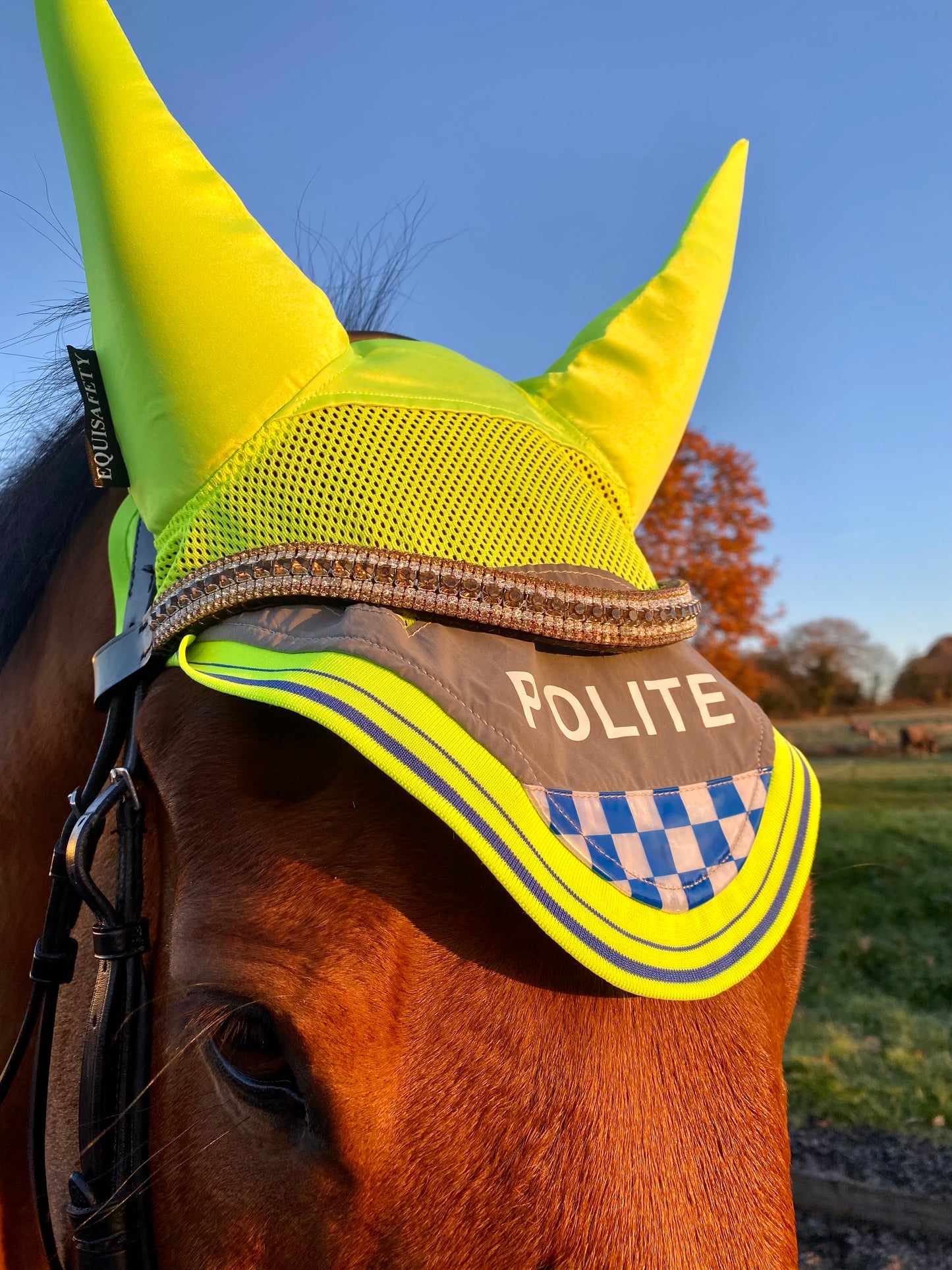 Equisafety POLITE Acoustic Horse Ears - Top Of The Clops