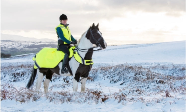 Equisafety Wraparound Exercise Sheet - Top Of The Clops