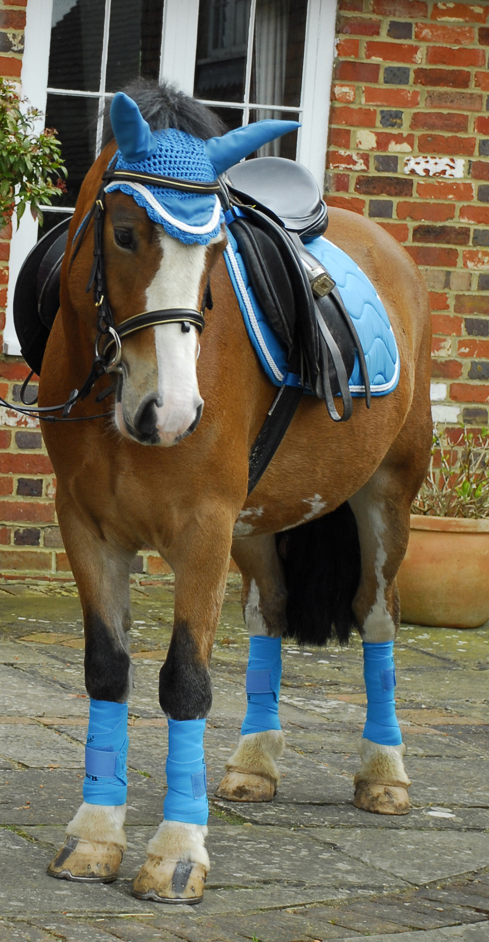 Rhinegold Wave Elasticated Training Bandages - Top Of The Clops