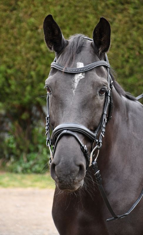 Rhinegold Italia Luxury Anatomical Flash Bridle - Top Of The Clops