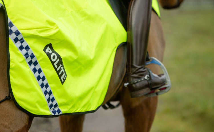 Equisafety Polite Wraparound Exercise Sheet - Top Of The Clops