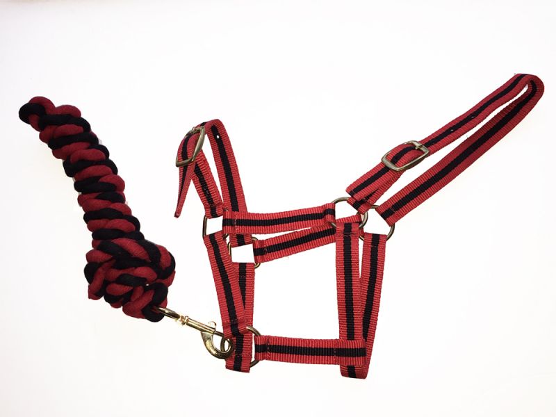 Harlequin Headcollar And Rope Set - Top Of The Clops