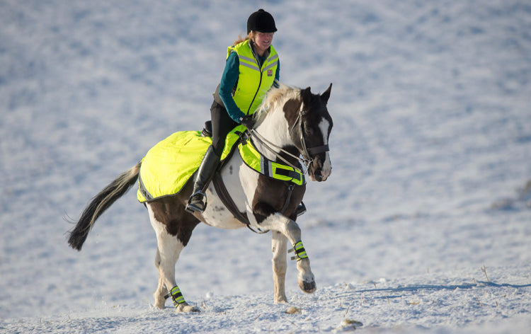Equisafety Wraparound Exercise Sheet - Top Of The Clops