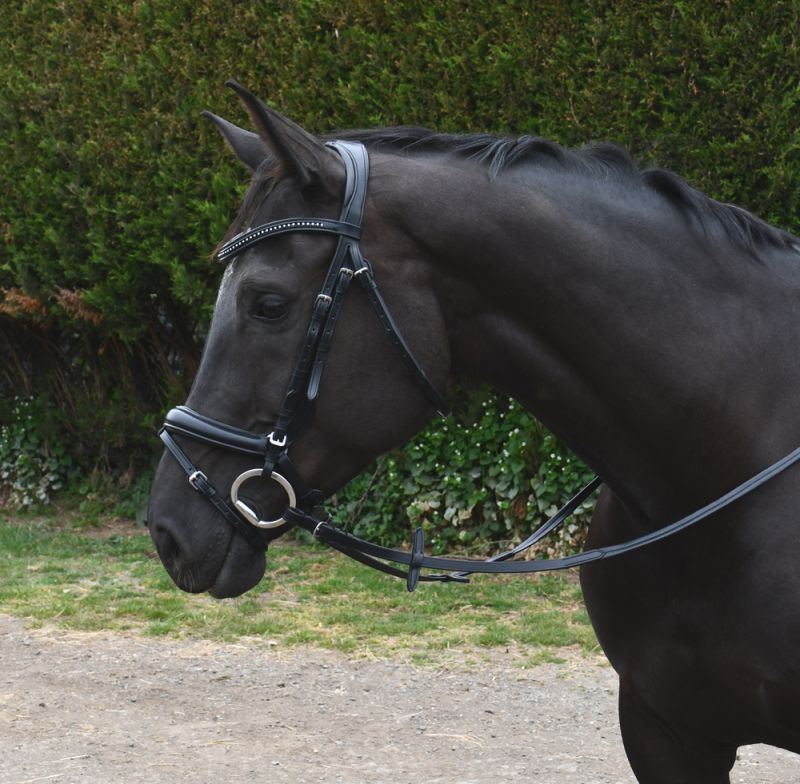 Rhinegold Italia Luxury Anatomical Flash Bridle - Top Of The Clops