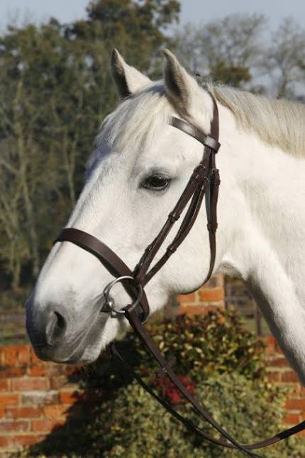 JHL Hunter Cavesson Bridle - Top Of The Clops