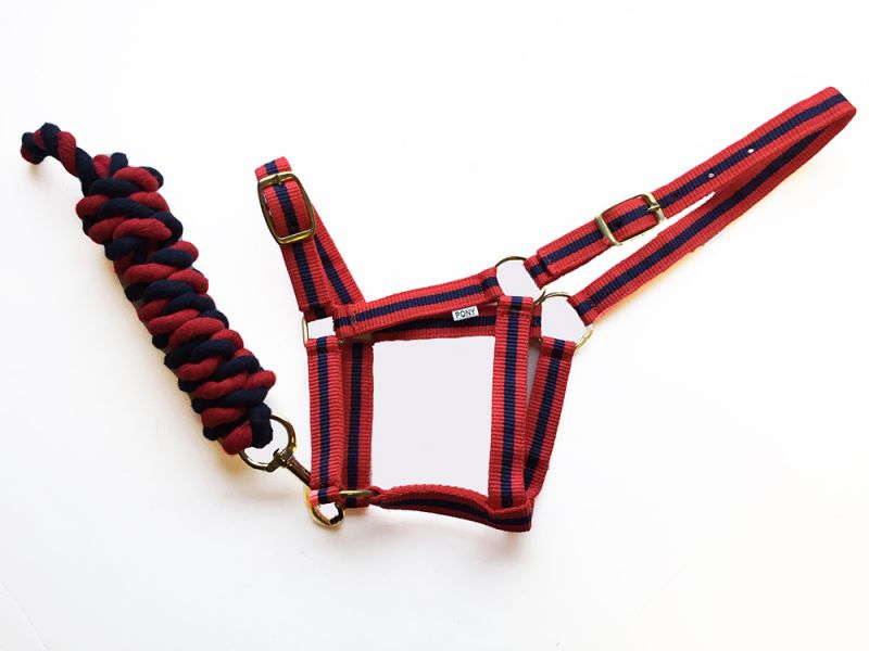 Harlequin Headcollar And Rope Set - Top Of The Clops